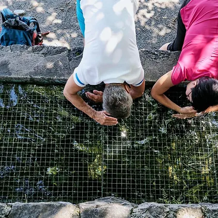 Loewenblick Lägenhet *