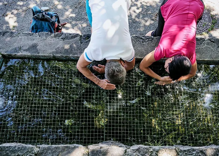 Loewenblick Apartment *